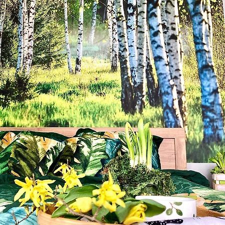 Apartament Deluxe Jelení Hora Exteriér fotografie